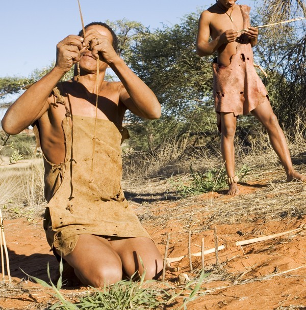 Bushmen prepare their arrows for a hunt