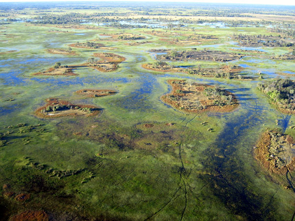 Environmental News: The Kaza Transfrontier Conservation Area