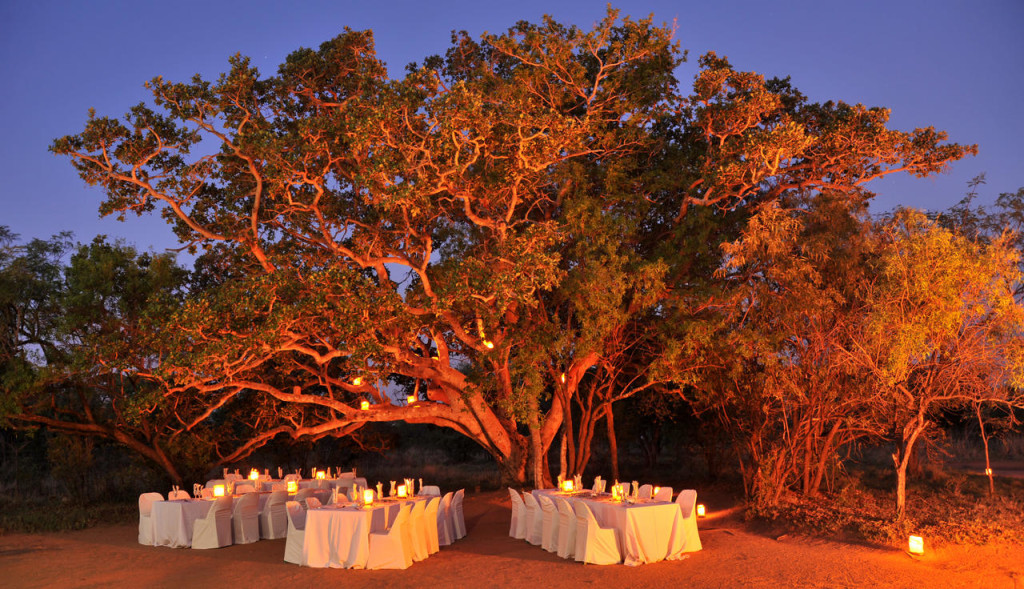 Outdoor dining at the wild fig tree © Mabula Game Lodge