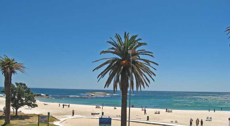 Camps Bay Beach Palm Trees