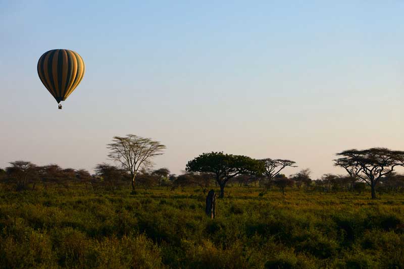 Serengeti Serena Safari