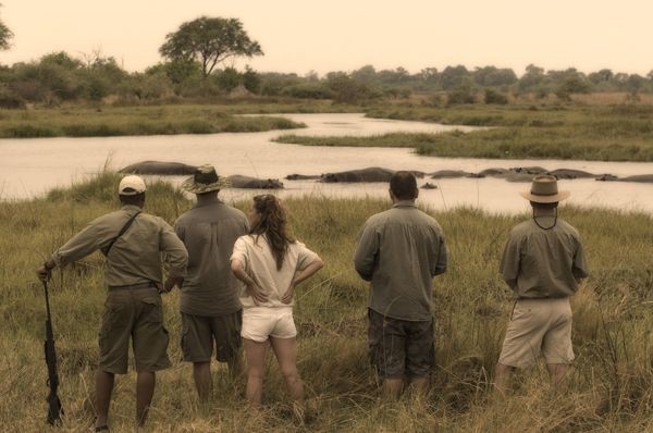 Khwai Tented Camp is located in the game rich Moremi area of the Okavango Delta
