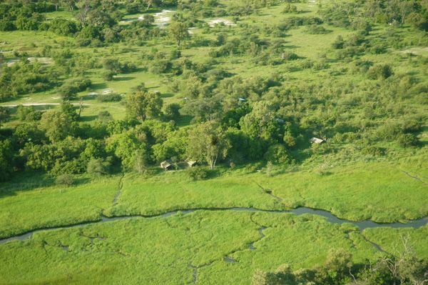 An aerial view of Khwai Tented Camp