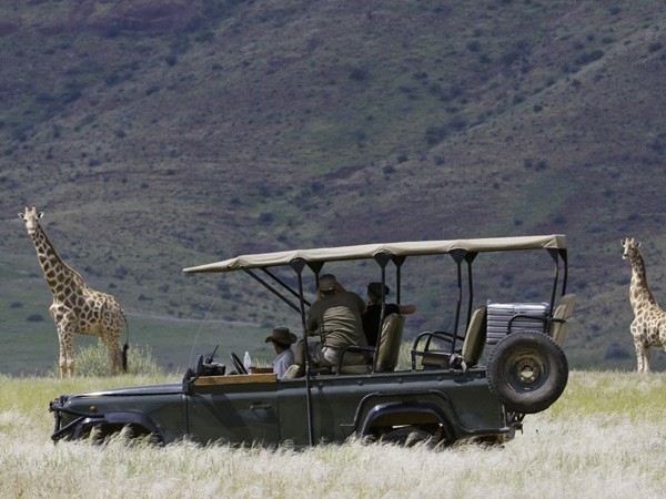 On a game drive in Namibia