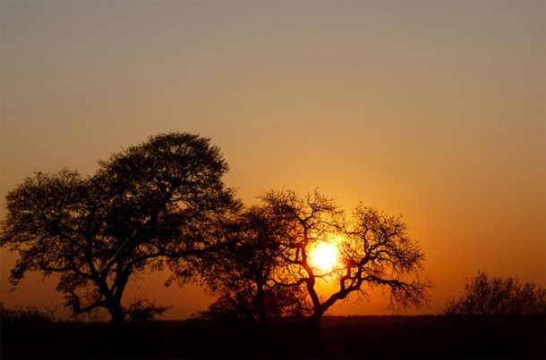 True African Sunset 
