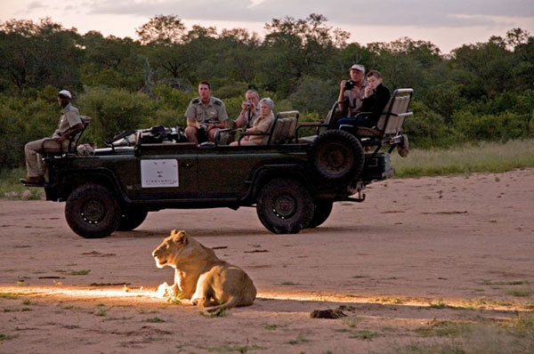 Viewing a lioness on a game drive at Simbambili