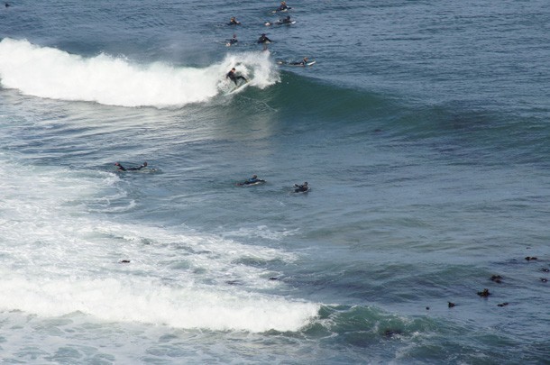 Kalk Bay Reef Surfing