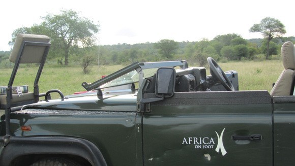 Game drives in open-topped landrovers