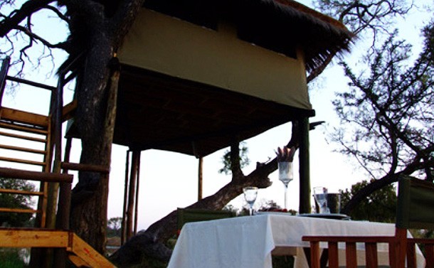 The Waterberg's Bushwa Treehouse 