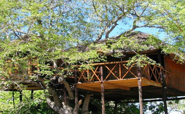 Pezulu Treehouse Game Lodge, Limpopo Region