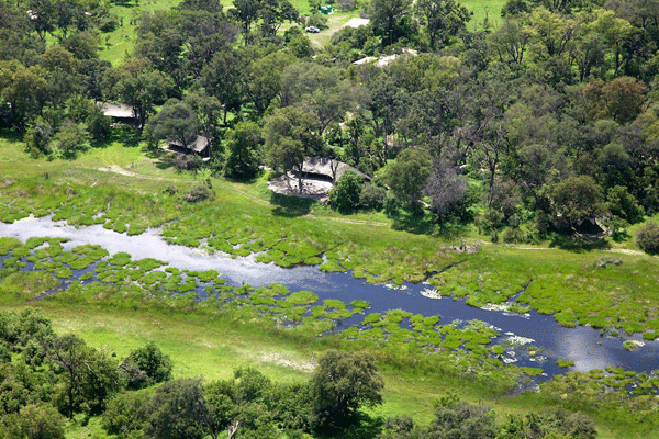 Featured Accommodation in the Delta: Machaba Camp