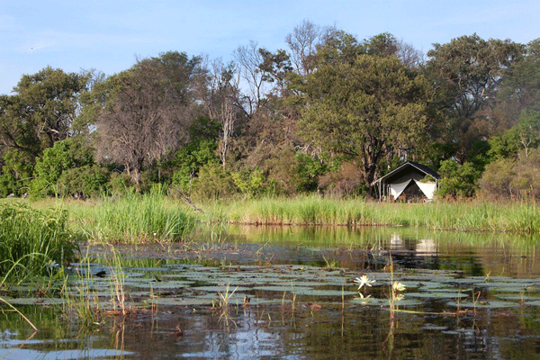 Featured Accommodation in teh Delta: Machaba Camp