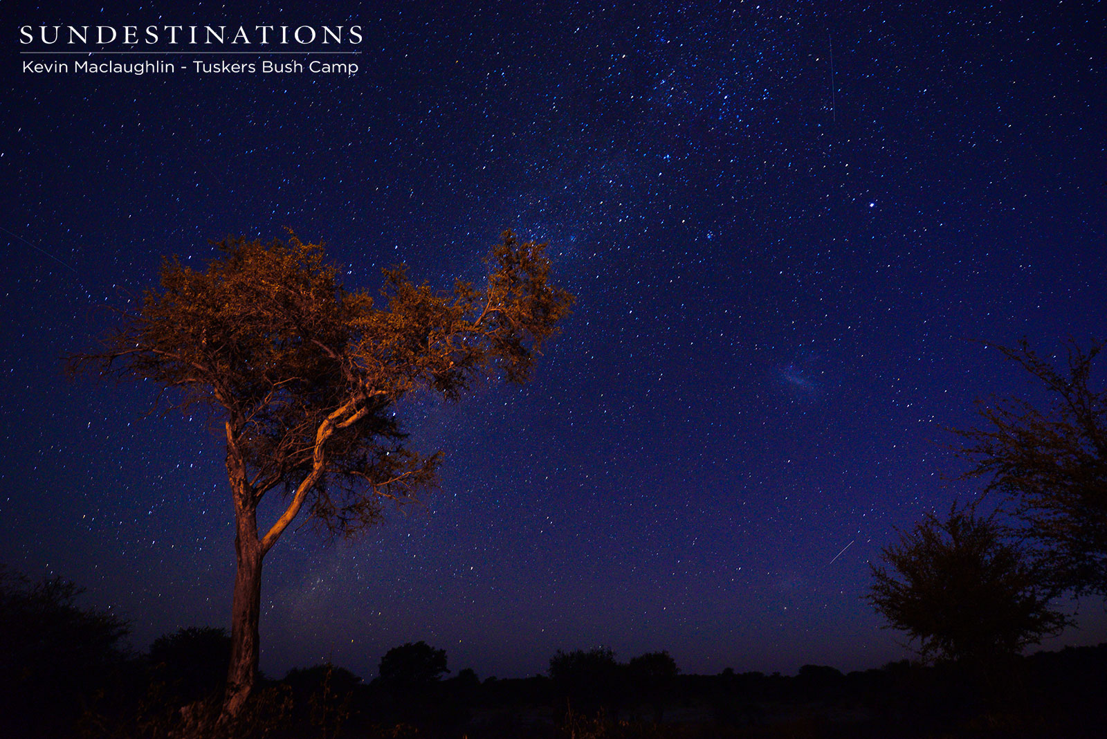 Botswana Night Sky