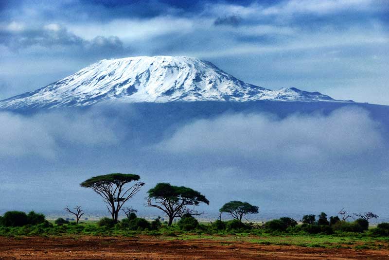 Kilimanjaro Africa  - Iconic Images of Africa