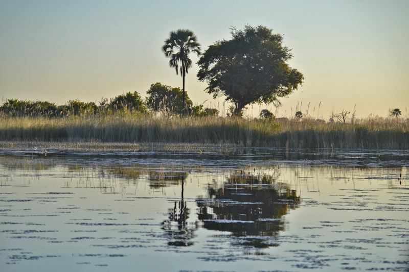 Okavango Delta Scenes
