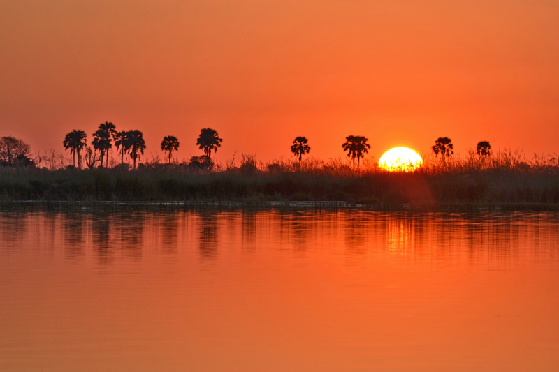 Sunset Over the Okavango Delta