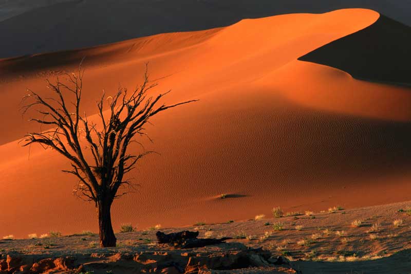Sossusvlei Red Dunes  - Iconic Images of Africa