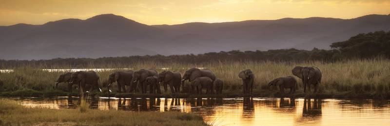Sun-safaris-12-Incredible African Safari