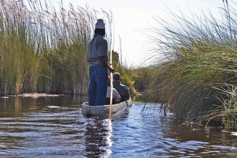 Mekoro Trips Okavango Delta