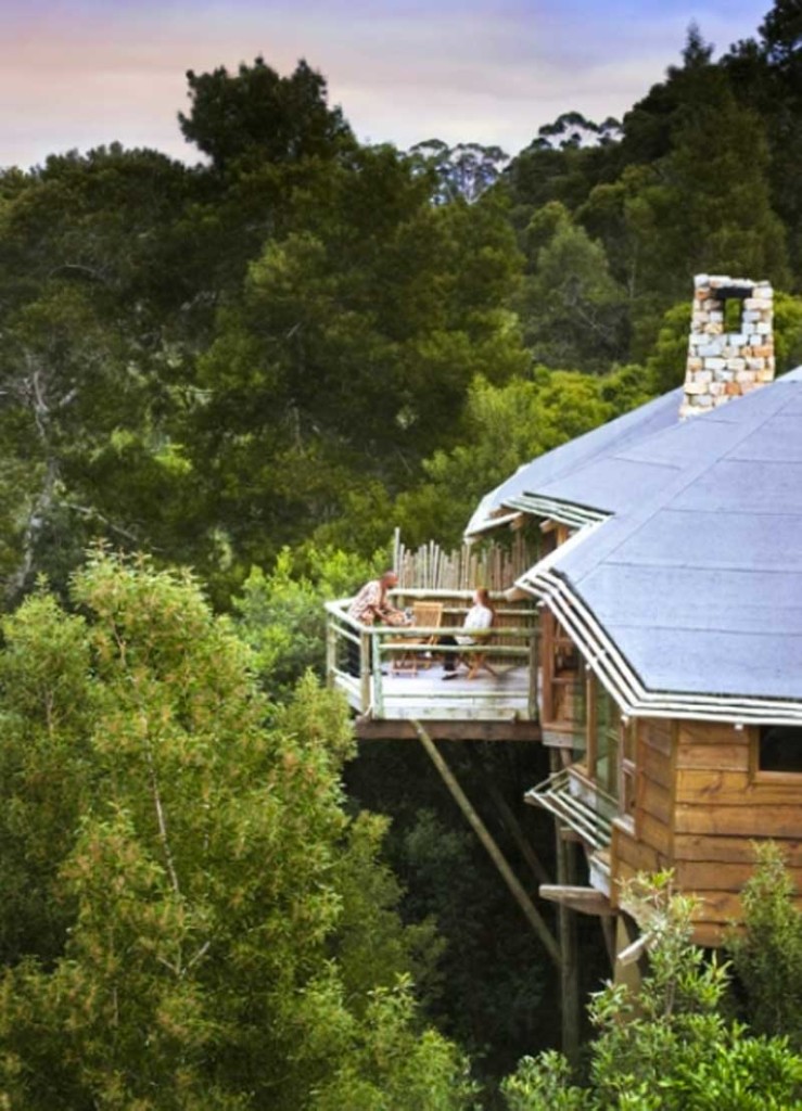 View from Tsala Treetop Lodge