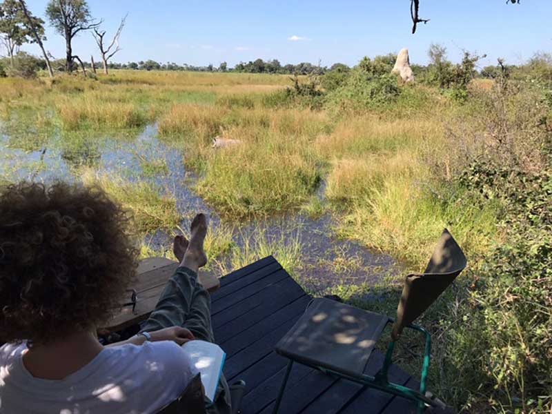 Oddballs Okavango Delta