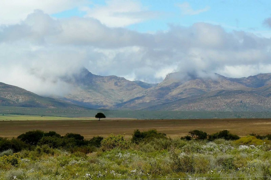 Karoo landscape