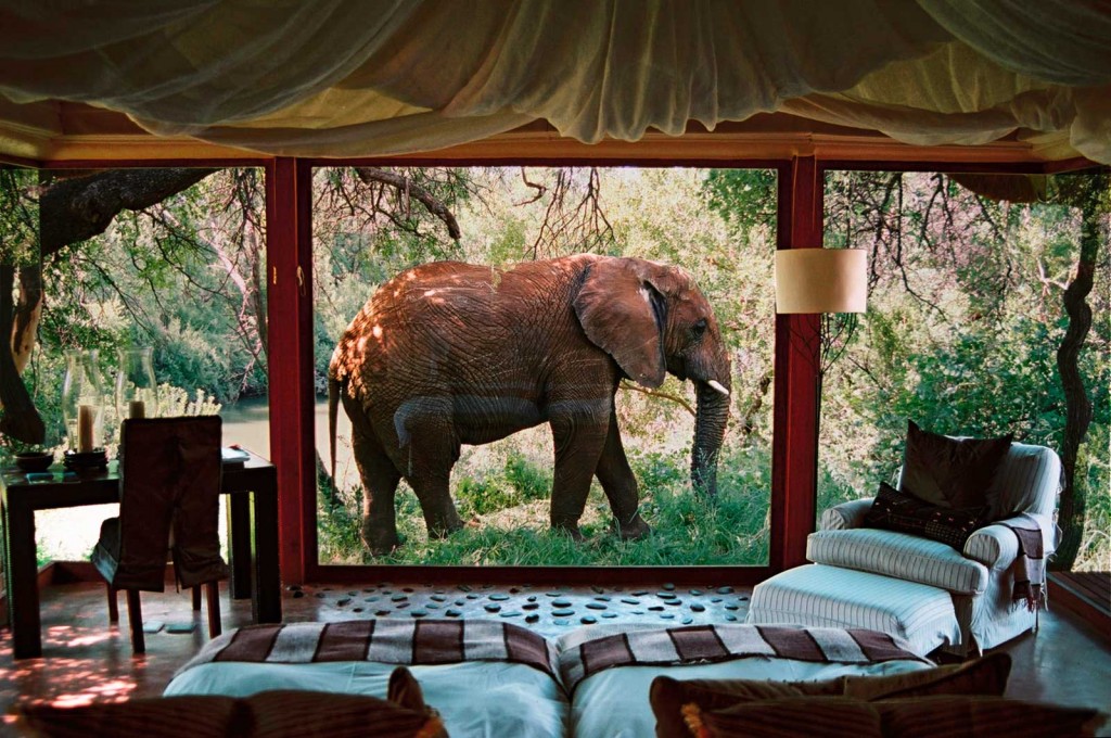 Sanctuary Makanyane Safari Lodge