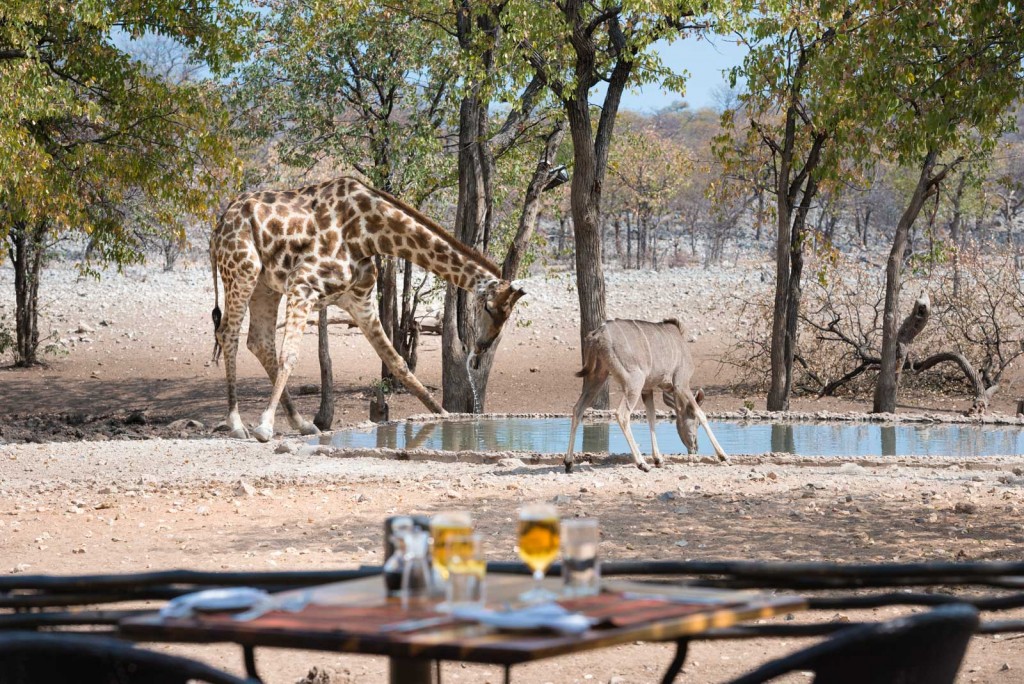 Ongava Private Game Reserve © Olwen Evans