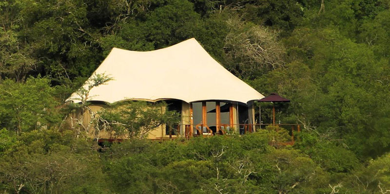Thanda Tented Camp KwaZulu
