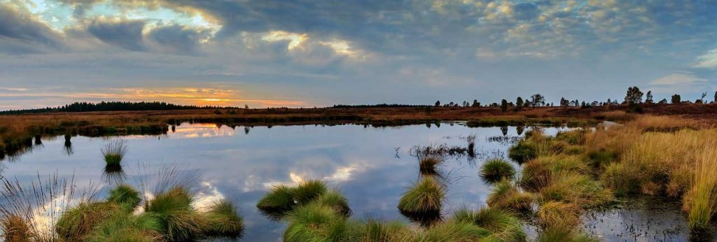 Bangweulu Wetland, Zambia