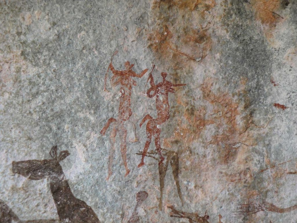 Bushman rock art