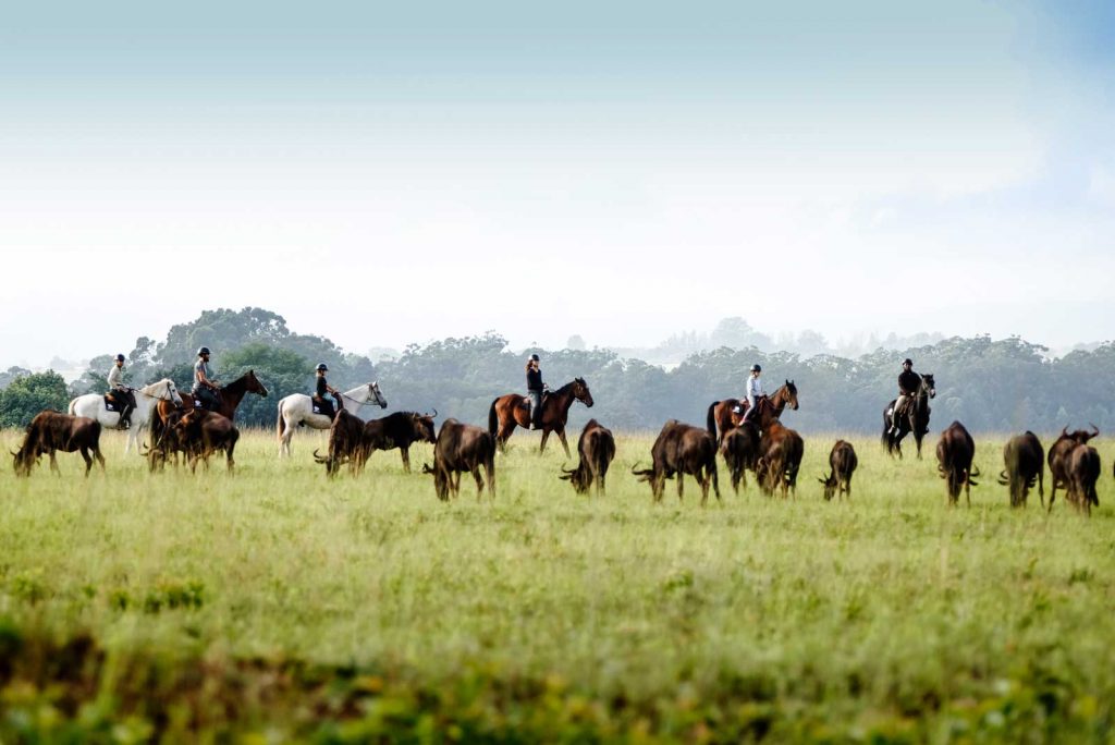 Mlilwane Wildlife Sanctuary horseback safaris