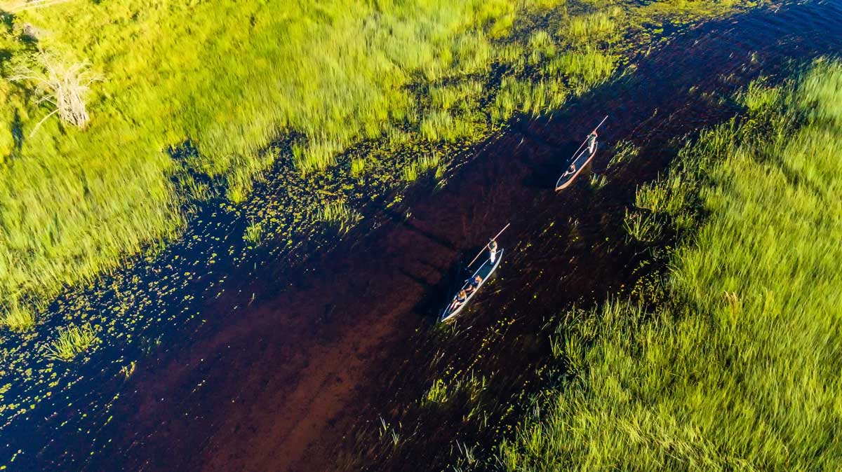 Canoeing Down the Selinda
