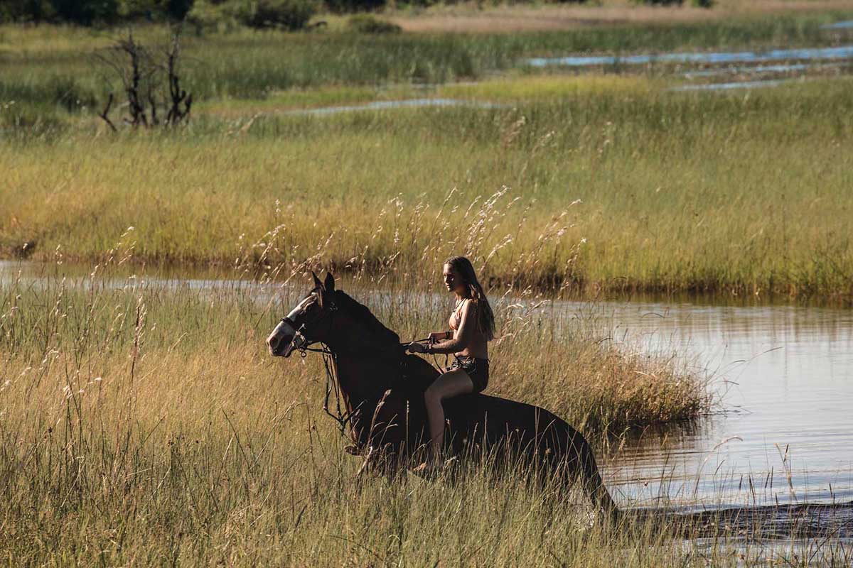 Horse Riding in the Okavango DElta