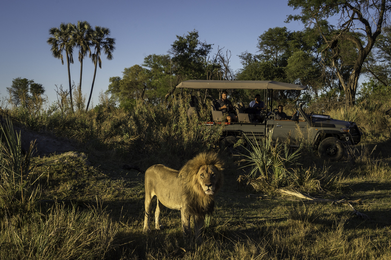 Qorokwe Camp, Okavango Delta