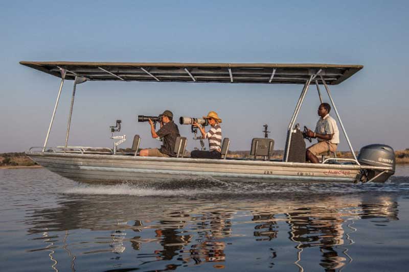 Pangolin Boat Safari