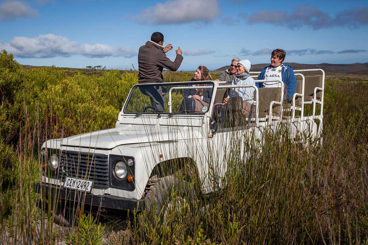 Grootbos Nature Drive
