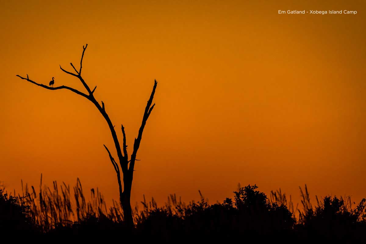 Sunset Okavango Delta