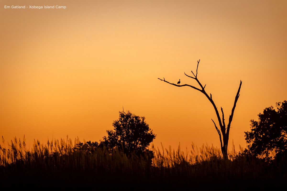 Orange sky Okavango Delta