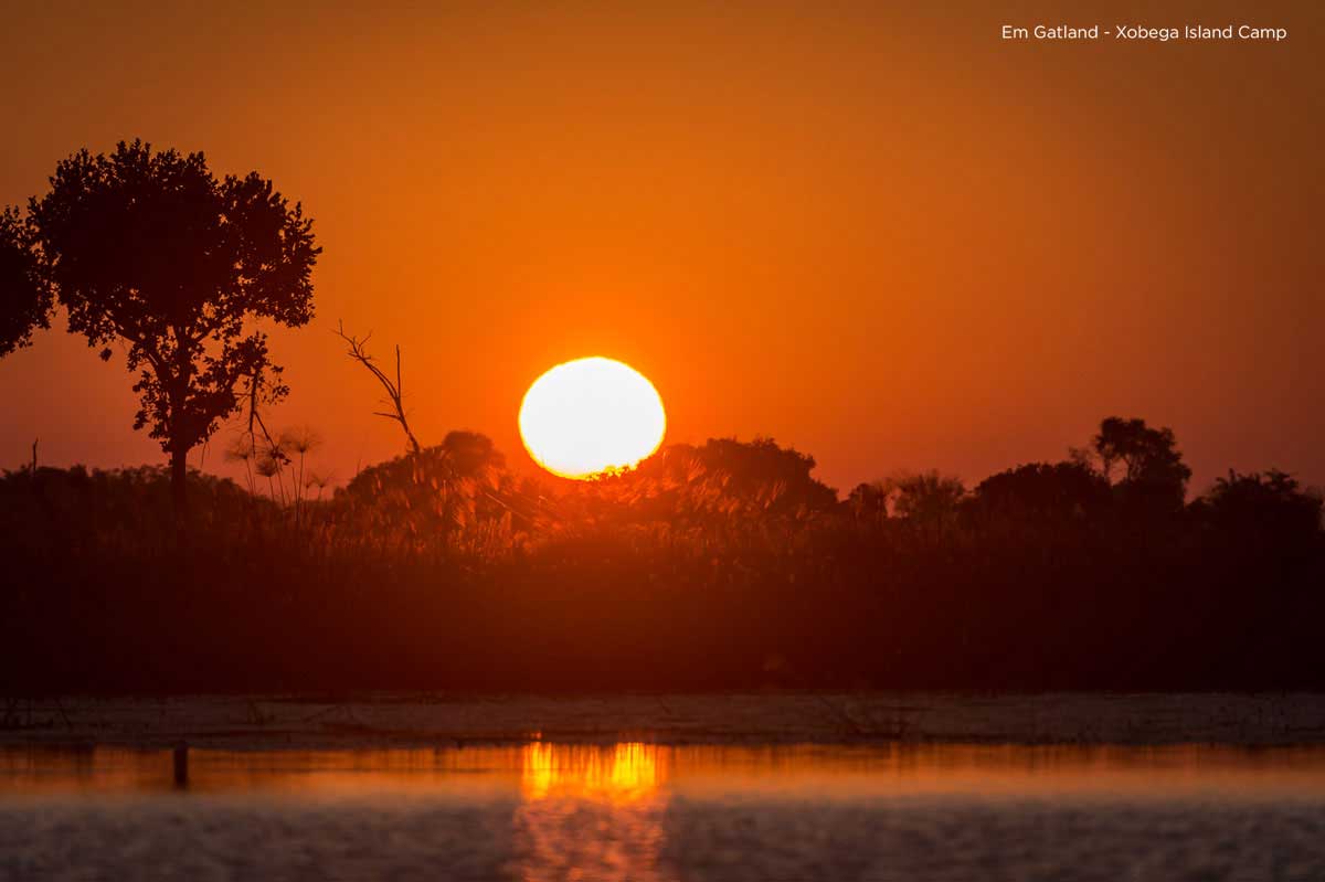 Botswana Sunsets