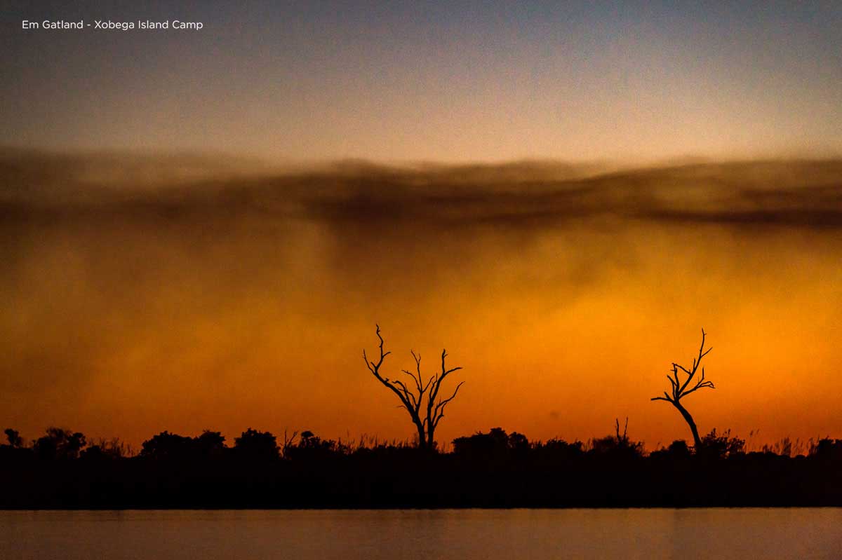Orange sunsets Okavango Delta