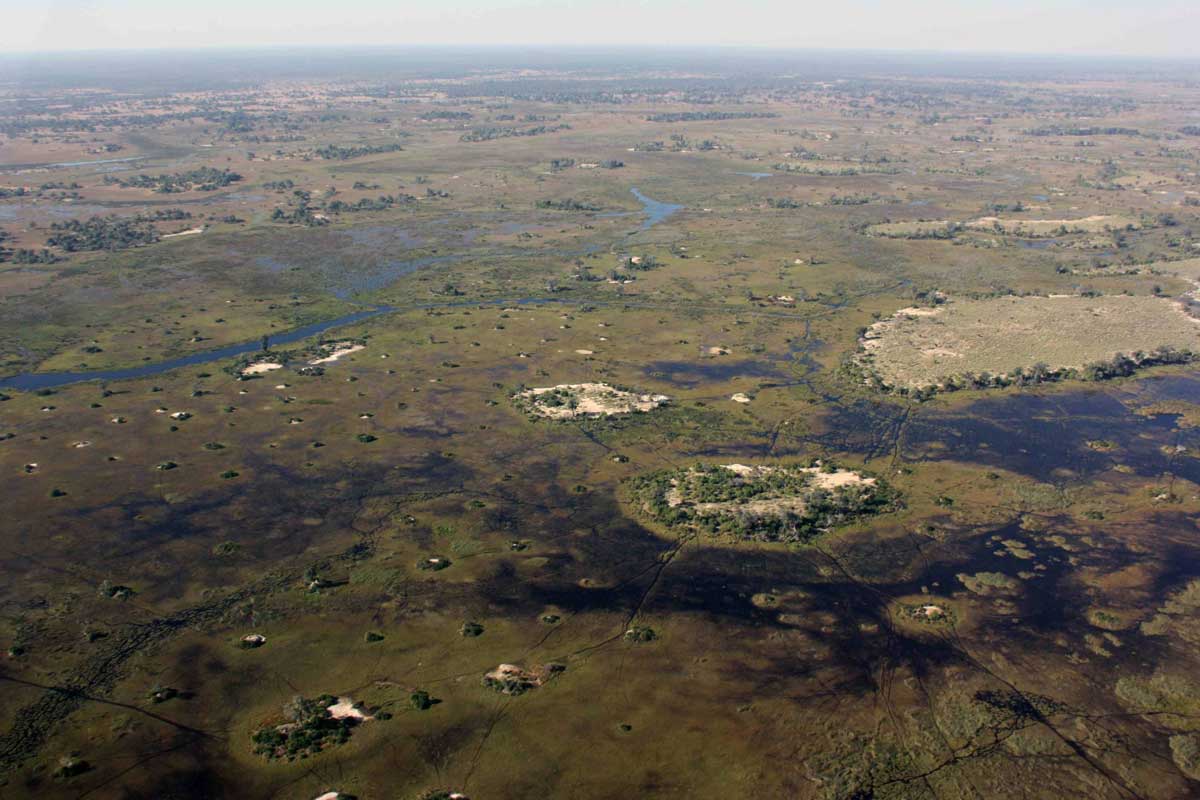 Aerial View of Okavango Delta