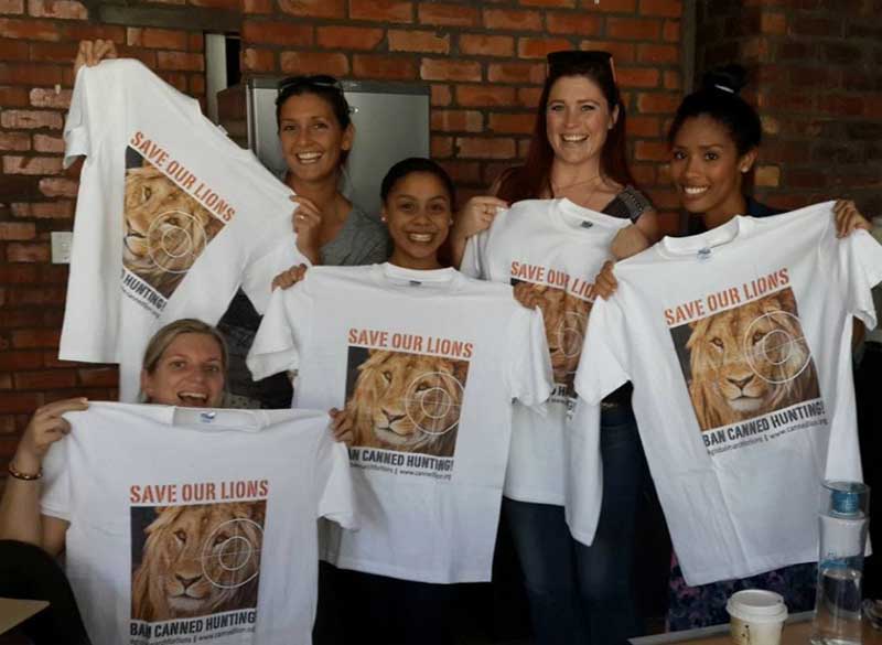 Sun Safaris Save Lions