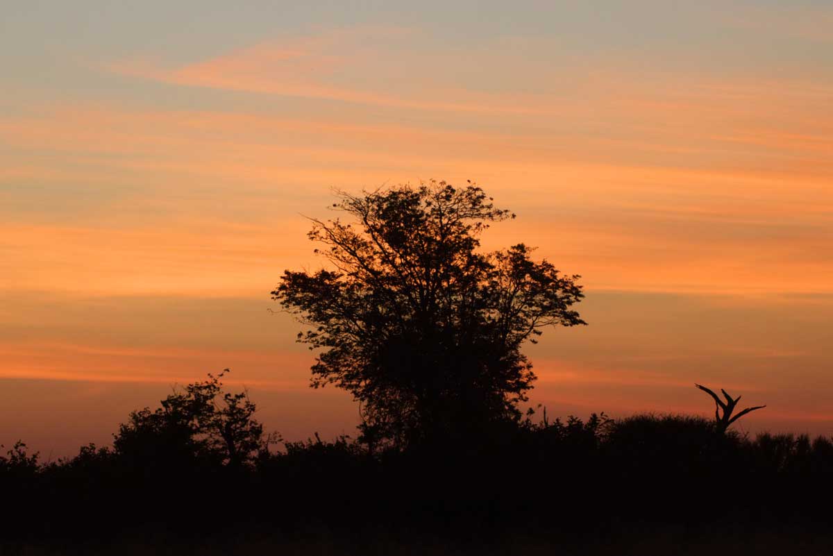 Sunset in Savuit Region of Chobe - Nik Simpson