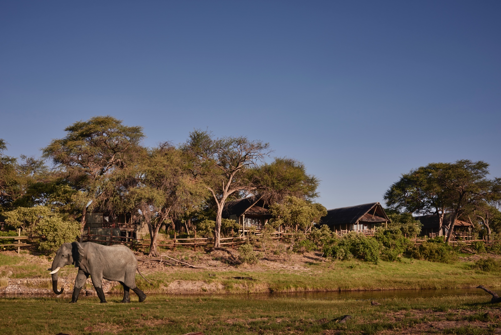 Belmond Safaris, Savute Camp, Okavango, Botswana.
