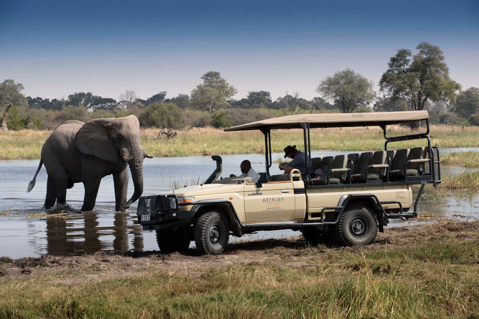 Elephant approaches game drive vehicle on safari with Khwai Bush Camp