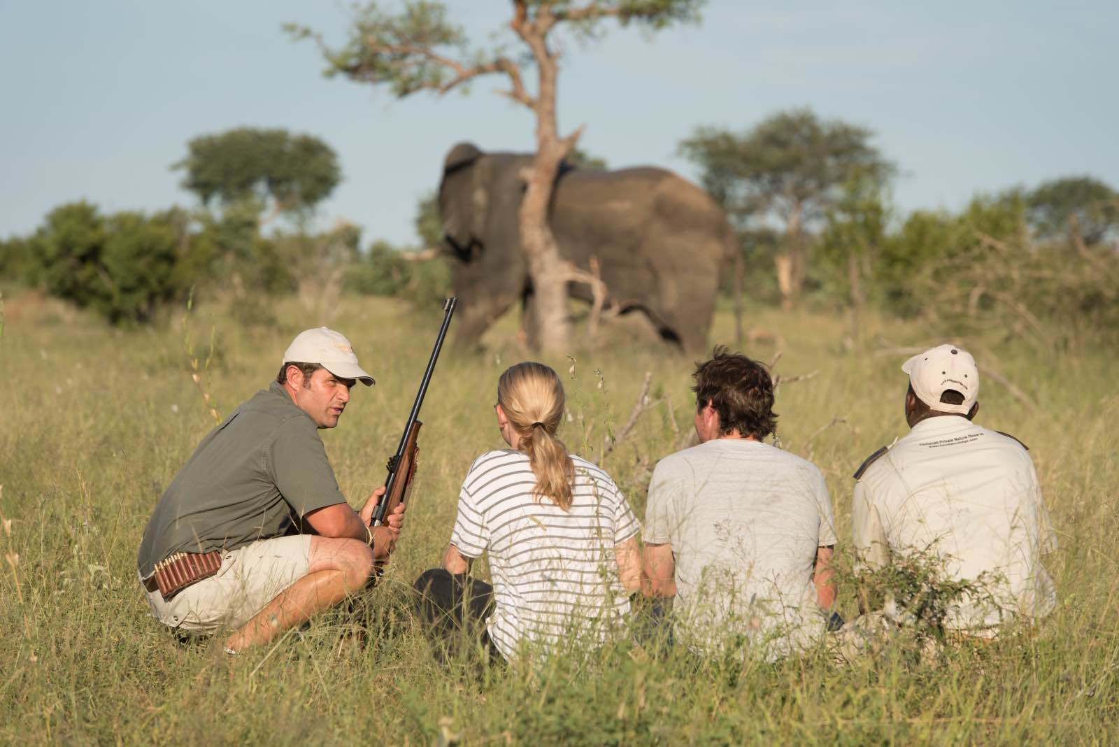 Kambaku River Sands guests watch an elephant on a walking safari