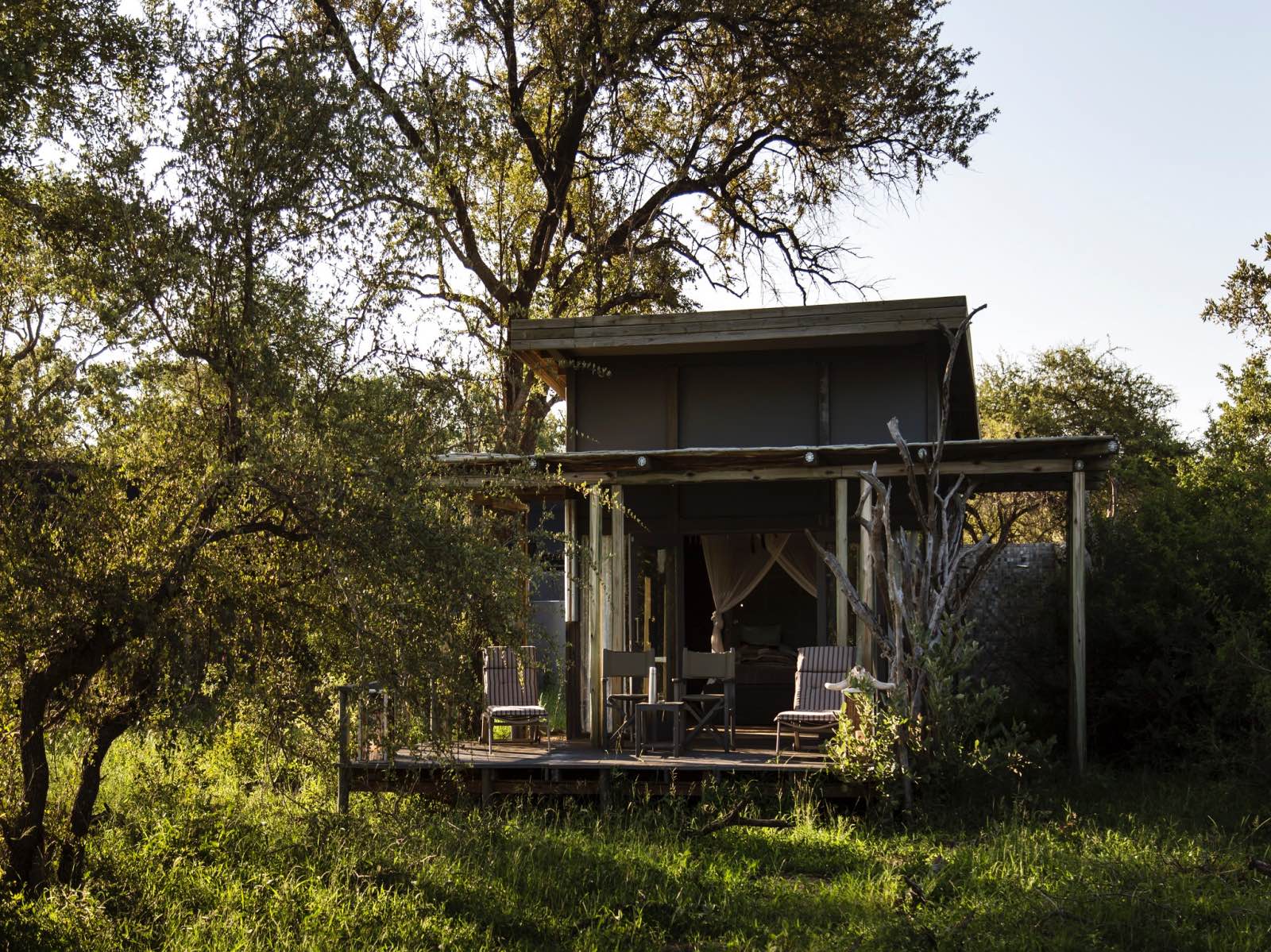 Simbavati River Lodge's luxury safari tent disguised in the lush summer bushveld