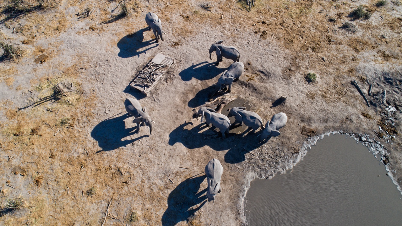 The hide at Hyena Pan seen from the air