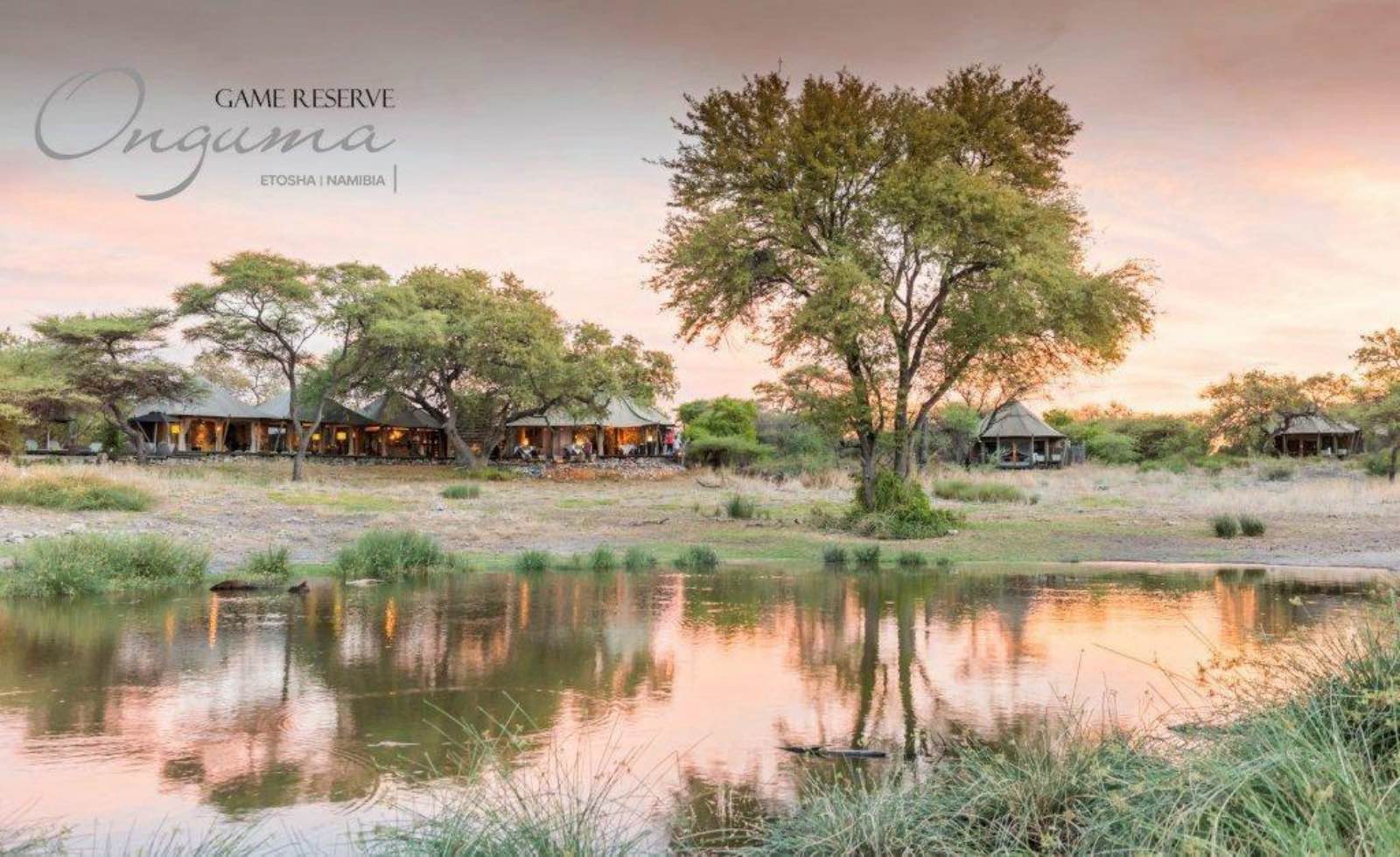 Onguma Tented Camp overlooking a busy waterhole